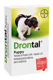 DRONTAL PUPPY