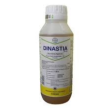 DINASTIA EC 100