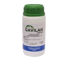 GAVILAN 240 EC