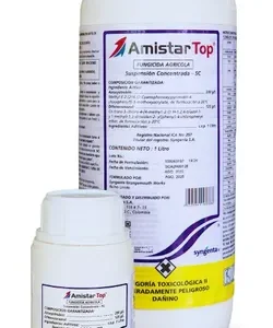 AMISTAR TOP