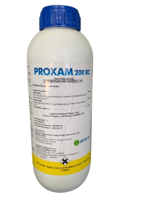 PROXAM