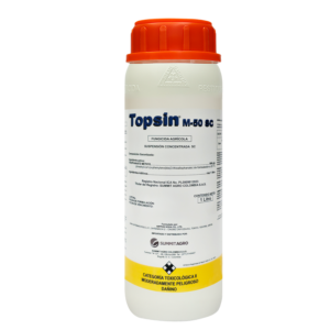 TOPSIN