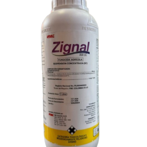 ZIGNAL