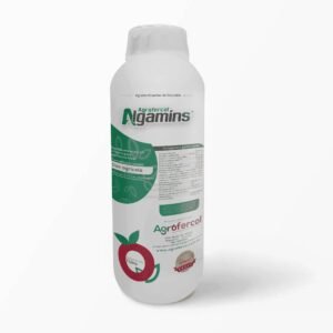 ALGAMINS