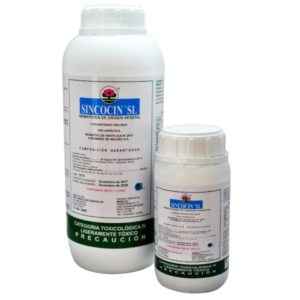 SINCOCIN